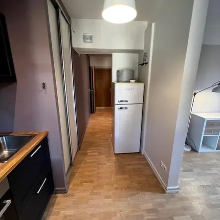 Apartament Videviku *
